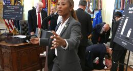 White House guest collapses in front of stunned Trump at White House