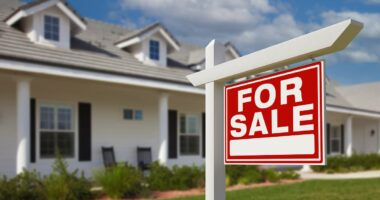 White House in chaos as Trump falls for 50-year mortgage plan