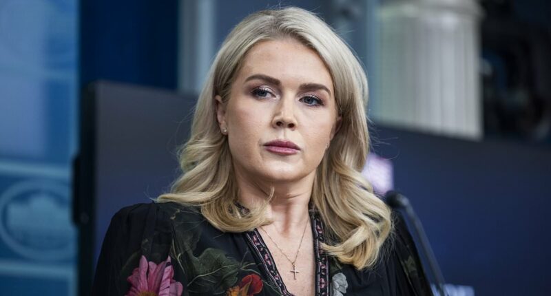 White House strikes back at Mamdani's election day claim over bomb threats