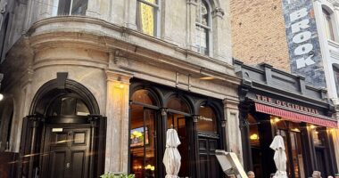 I was not prepared for Auckland to be the first New Zealand city to steal my heart