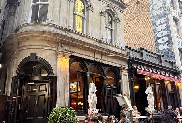 I was not prepared for Auckland to be the first New Zealand city to steal my heart