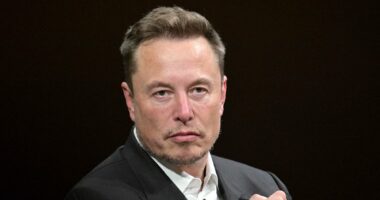 Wi-fly! British Airways does deal with Elon Musk's Starlink to give passengers fast internet at 38,000ft