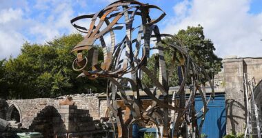 Widow whose husband was trampled to death devastated by sculpture plan