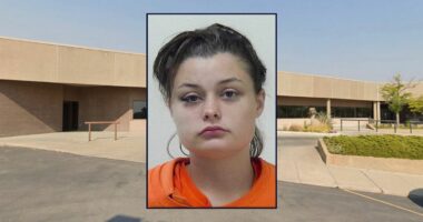 Wife in tequila-induced 'rage' tried to stab husband: Cops