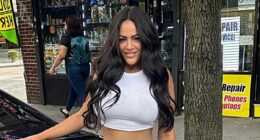 Wigmaker who mowed down mom and her two daughters scores plea deal