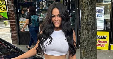 Wigmaker who mowed down mom and her two daughters scores plea deal