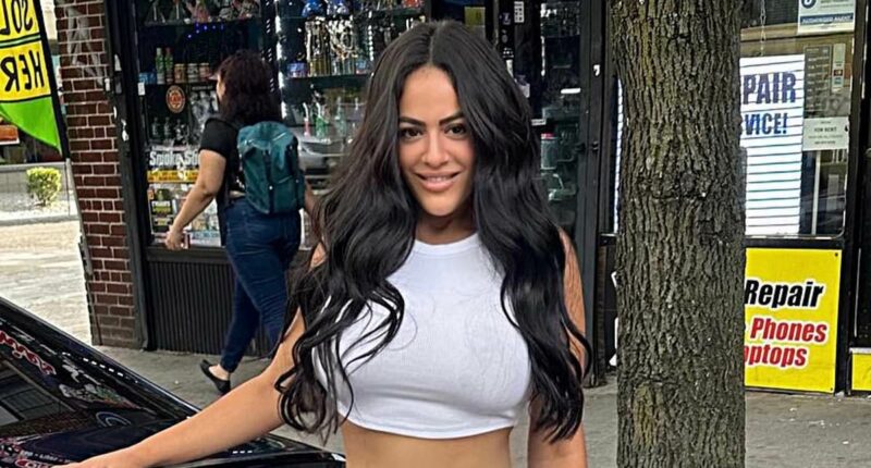 Wigmaker who mowed down mom and her two daughters scores plea deal