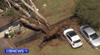 Wild NSW storms kill one man and leave 100,000 in the dark