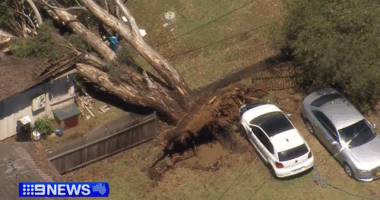 Wild NSW storms kill one man and leave 100,000 in the dark