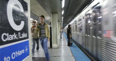 Woman, 26, is set ablaze on Chicago train by male passenger