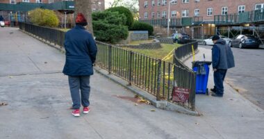 Woman, 59, arrested for murdering young Bronx man with 3 gunshots to head