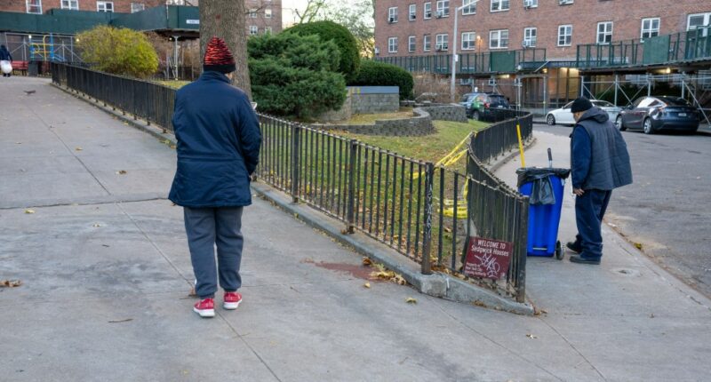 Woman, 59, arrested for murdering young Bronx man with 3 gunshots to head