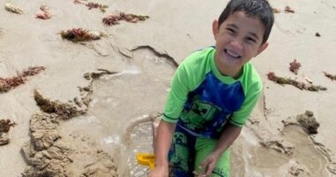 Woman, 84, charged over alleged hit-run crash that killed six-year-old boy