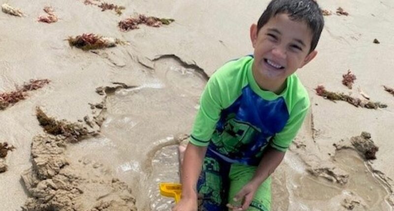 Woman, 84, charged over alleged hit-run crash that killed six-year-old boy