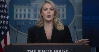 Woman With Ties To Press Secretary Karoline Leavitt’s Family In ICE Custody