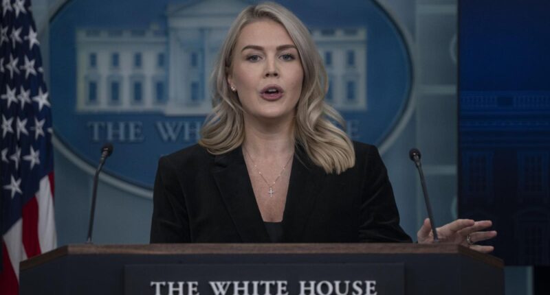 Woman With Ties To Press Secretary Karoline Leavitt’s Family In ICE Custody