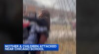 Woman, child beaten, seriously hurt on Bensley Ave. near Orville T. Bright Elementary on Far South Side; CPD investigating | Video