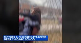 Woman, child beaten, seriously hurt on Bensley Ave. near Orville T. Bright Elementary on Far South Side; CPD investigating | Video