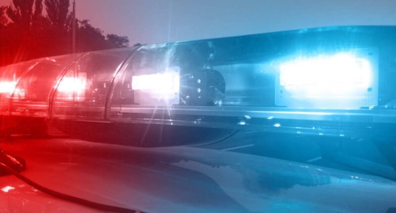 Woman in Slender Man stabbing case disappears from group home