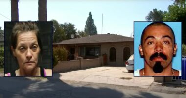 Woman killed ex with frying pan, buried him in backyard tomb