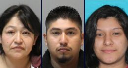 Woman, son sentenced for roles in brutal kidnapping, killing