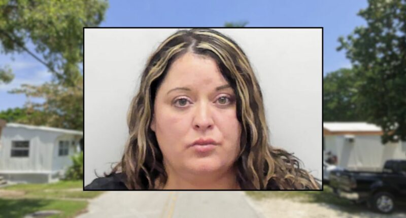 Woman threw knife over boyfriend's $5 mobile payment: Police