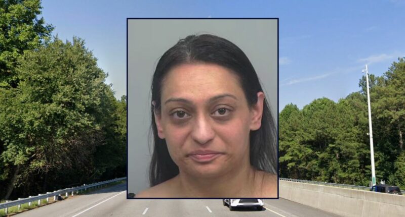 Woman who hadn't slept for days caused fatal crash