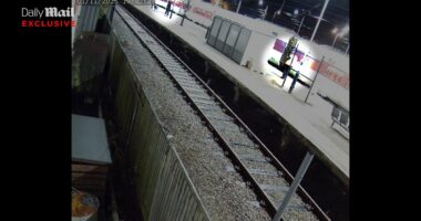 Worker confronted train 'knifeman' while urging passengers to run