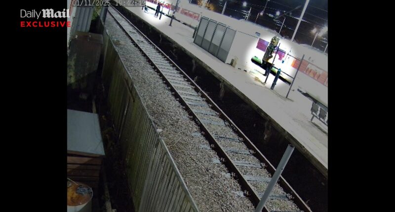 Worker confronted train 'knifeman' while urging passengers to run