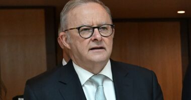 Workplace change will make it illegal for bosses refuse leave request