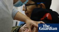 Yellow fever and dengue cases surge in South America as climate crisis fuels health issues