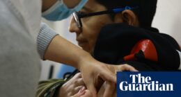 Yellow fever and dengue cases surge in South America as climate crisis fuels health issues
