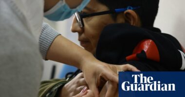 Yellow fever and dengue cases surge in South America as climate crisis fuels health issues