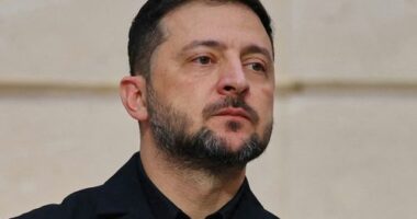 Ukraine's President Volodymyr Zelenskyy is under pressure from the US to take an unfavourable peace deal with Russia.