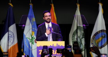 Zohran Mamdani storms to victory in New York City mayoral race