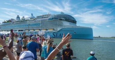 ‘Reached a breaking point:’ Port Canaveral growth causing stress to local community, mayor says