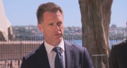 'Different kind of policing' for Sydney on NYE, premier says