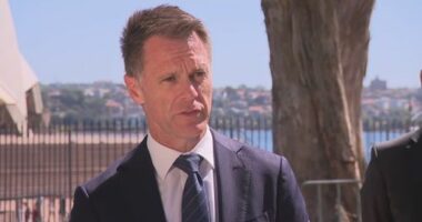 'Different kind of policing' for Sydney on NYE, premier says