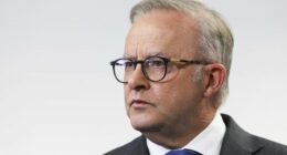 'I accept my responsibility': Albanese makes raw admission on Bondi attack