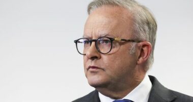 'I accept my responsibility': Albanese makes raw admission on Bondi attack