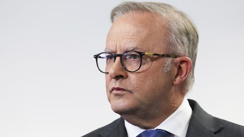 'I accept my responsibility': Albanese makes raw admission on Bondi attack