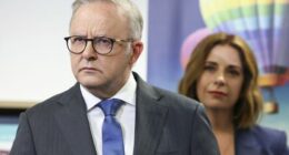 'It's outrageous': Pressure grows for Albanese to act on expense claims