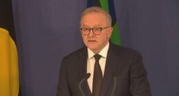 Anthony Albanese said he would bring the issue of gun reform to cabinet this afternoon.