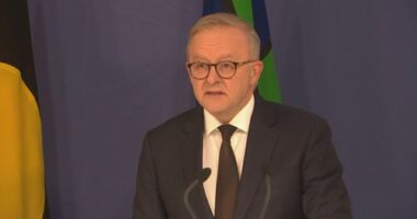 Anthony Albanese said he would bring the issue of gun reform to cabinet this afternoon.