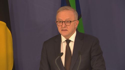 Anthony Albanese said he would bring the issue of gun reform to cabinet this afternoon.