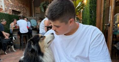 'Miraculous' survival for officer injured in Bondi Beach attack