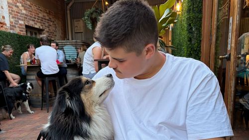 'Miraculous' survival for officer injured in Bondi Beach attack