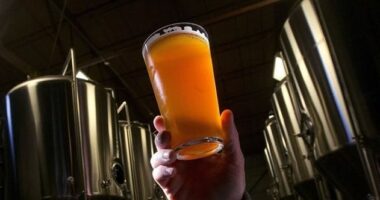 'Never Ever Surrender': Idaho Bar Owner Fights Back Against Alleged Death Threats Over ICE Offer