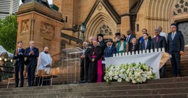 Prime Minister Anthony Albanese