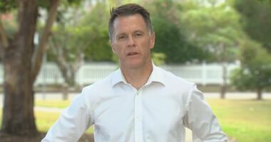 NSW Premier Chris Minns